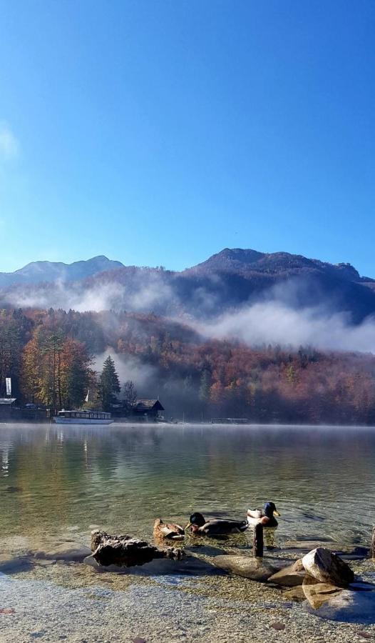 Apartments Bohinjc Eksteriør bilde