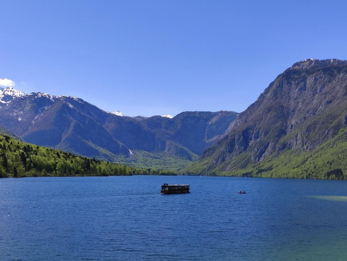 Apartments Bohinjc Eksteriør bilde